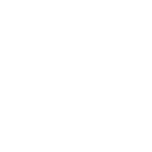 Auto & Performance