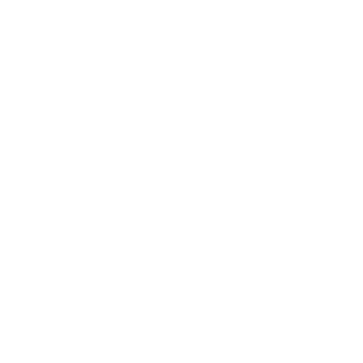 Apparel & Lifestyle